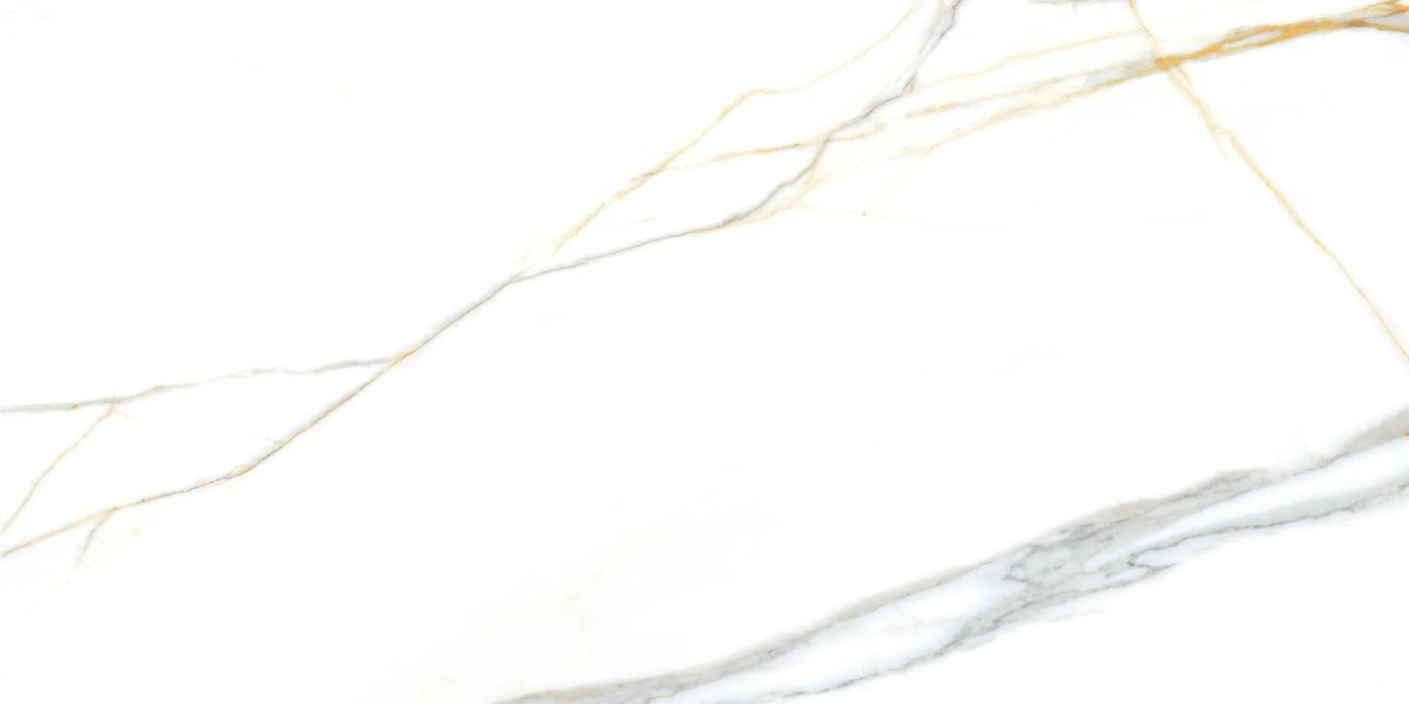 LET-60120-002-CR
